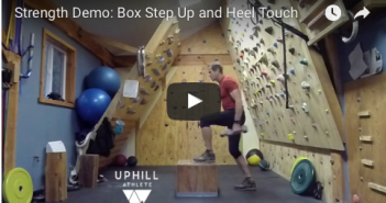 Strength Demo: Box Step Up and Heel Touch