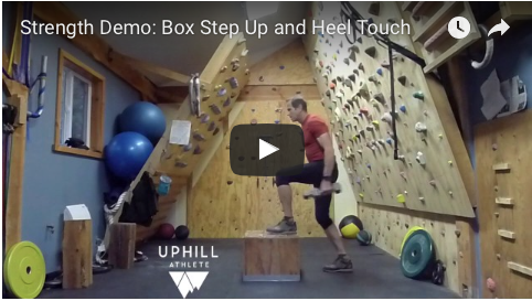 Strength Demo: Box Step-up and Heel Touch