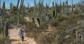 Training for the Baja 1000
