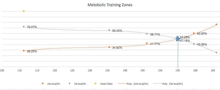 Choosing a Metabolic Testing Lab: It’s a Jungle Out There