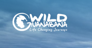 Wild Guanabana – Recommended Training Plans