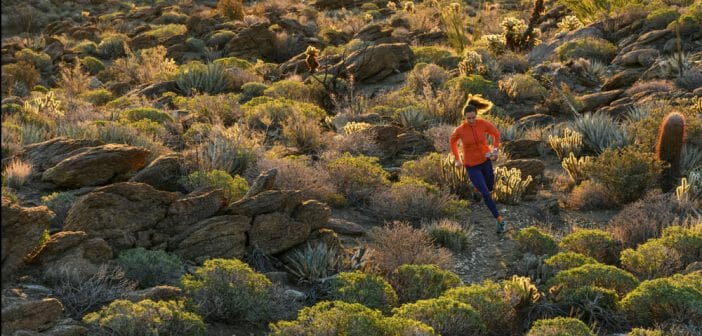Uphill Athlete Training Zones Heart Rate Calculator Heart rate calculator